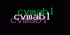 Visual Verification